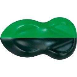 Aero-color Professional gloss green 250 ml