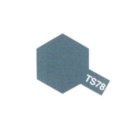 TS78 Gris Campagne Mat spray paint can