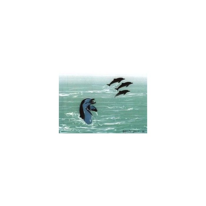 Dolphin stencil set